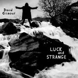 DAVID GILMOUR-LUCK AND STRANGE (1CD)