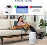 LevoitCore P350 寵物空氣清新機濾芯