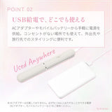 Dretec 隨身型 USB 迷你直髮捲髮兩用燙髮器 HI-100