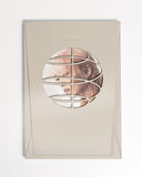 陳明憙 Jocelyn Chan - BELONGING (CD)