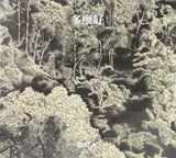粉紅A - 多麼好 (Clear Vinyl)