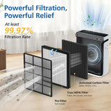 Levoit Vital 100S 寵物智能空氣清新機濾芯