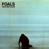Foals - What Went Down (10th Anniversary Edition) (Coke Bottle Green/Black Smoke Marbled Vinyl)