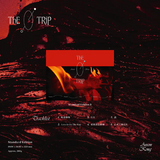 Anson Kong 江𤒹生 - The Trip (CD) Version: B