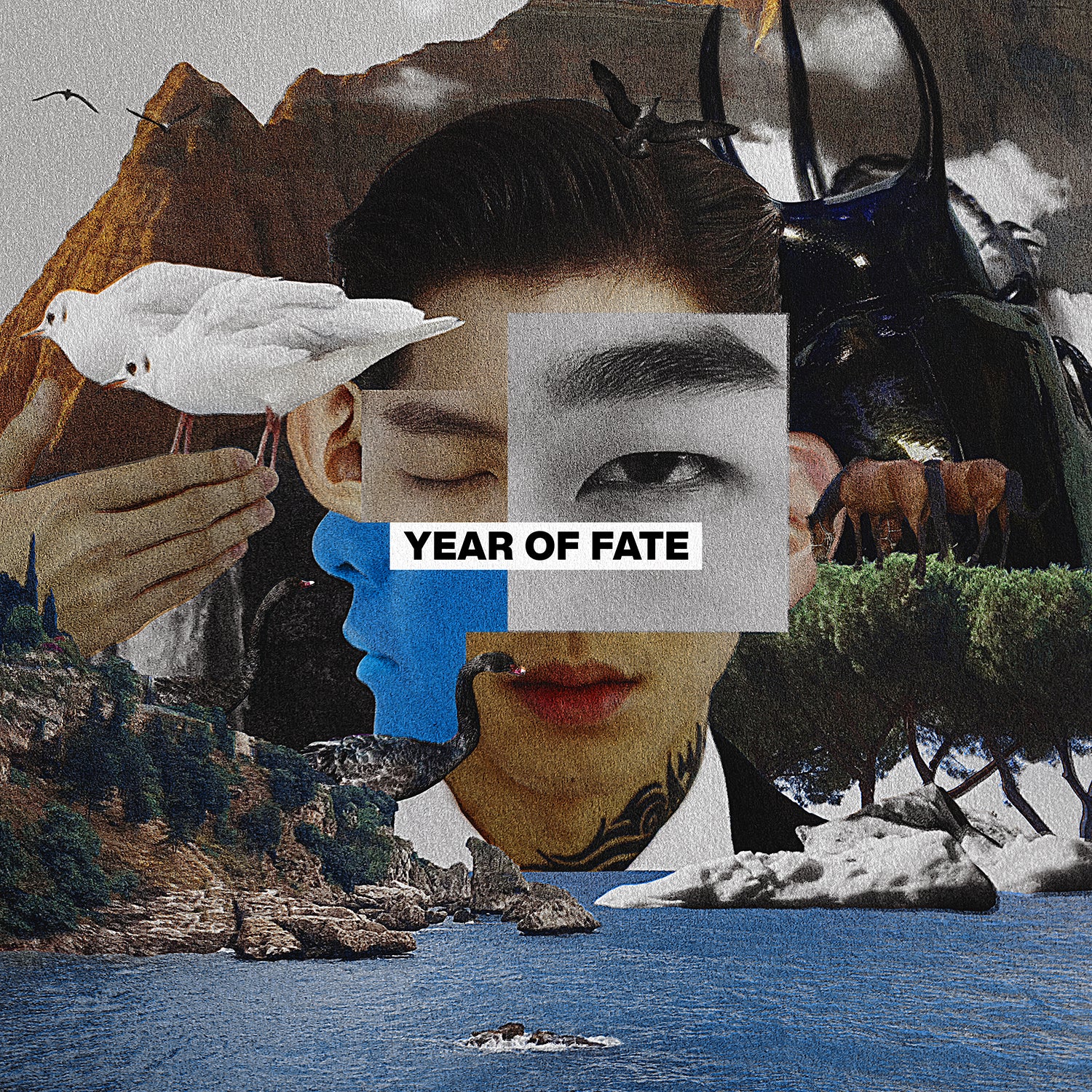 Year Of Fate (限定預購版CD) 台灣版-傻子與白痴