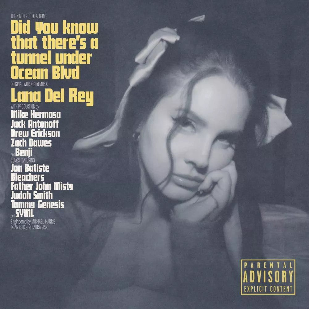 Did you know that there's a tunnel under Ocean Blvd(2 Vinyl)-Lana Del Rey