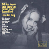 Did you know that there's a tunnel under Ocean Blvd(CD)-LANA DEL REY